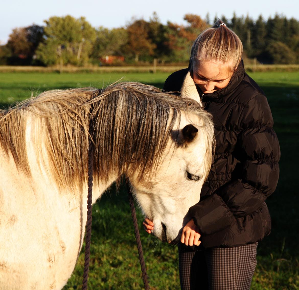 Anden særlig race Jody billede 18