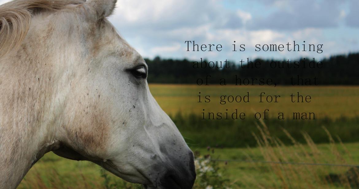 Anden særlig race Valten billede 5