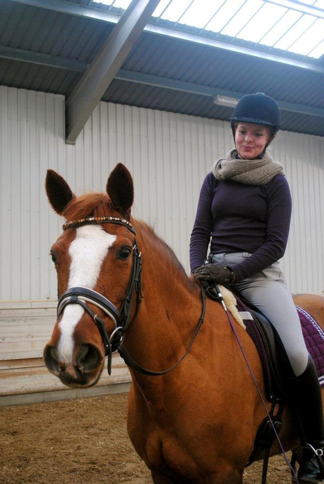 Connemara KÖHLS EVELINA B-PONY! - Taget af søde Caroline Hilbert. billede 22