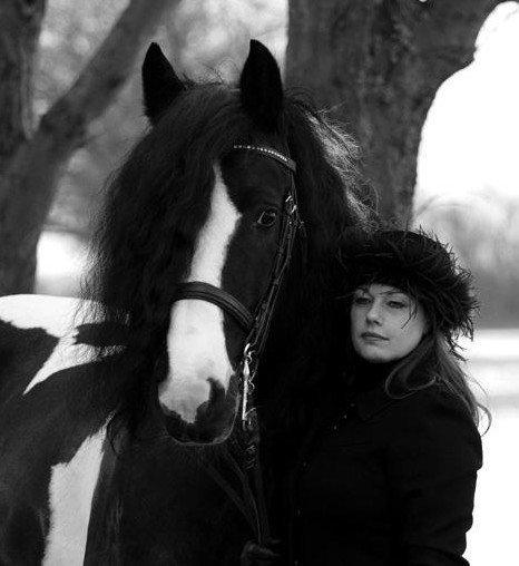 Drumhorse Lord Korpus King Keen - Godkendt i EU og GCDHA billede 18