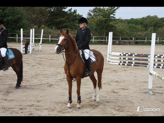 Anden særlig race Passir <3 <3 - Præmieoverrækkelse på MMR anden plads og første plads :) billede 14