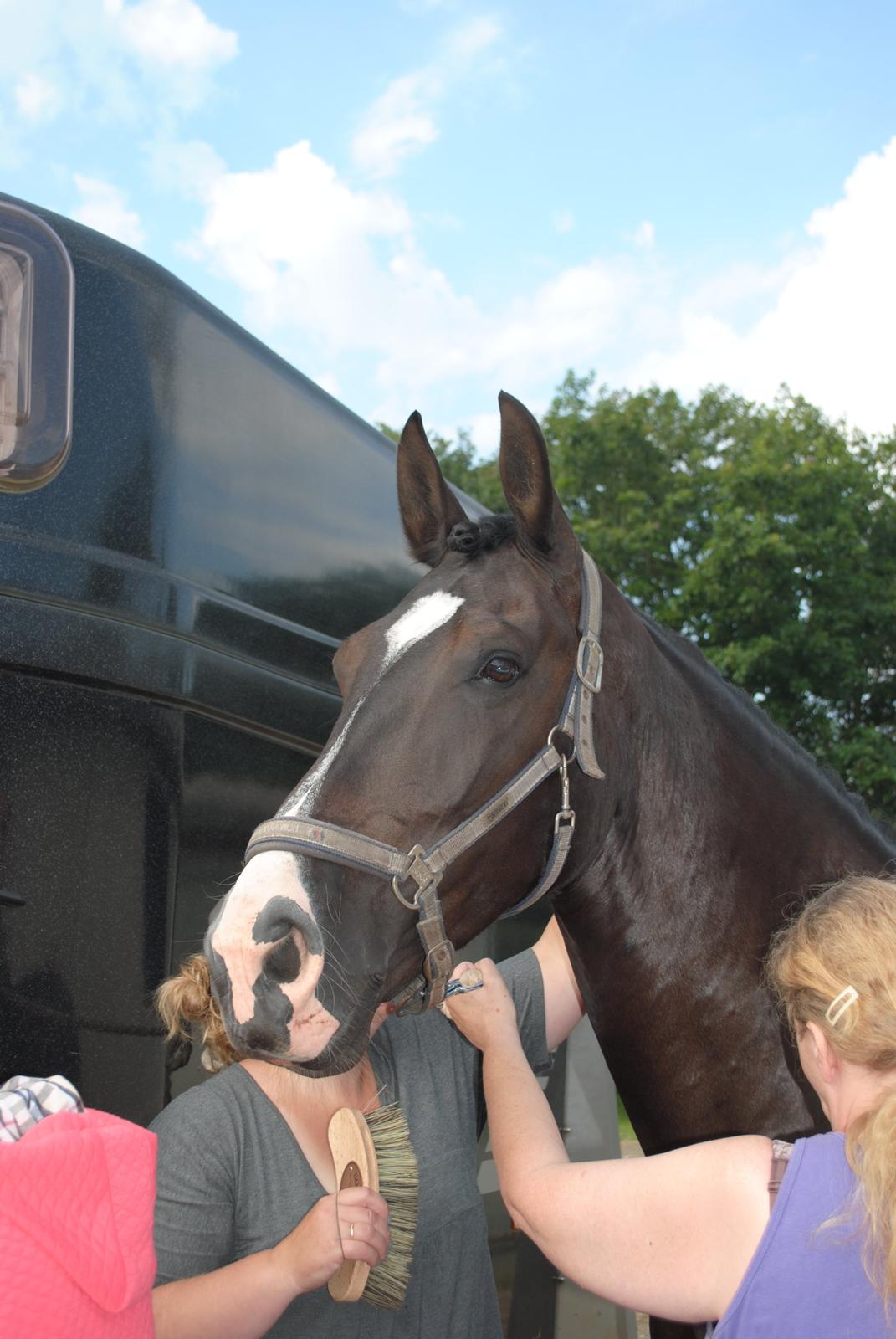 Oldenborg Bødkers Bonzai (rider) billede 3