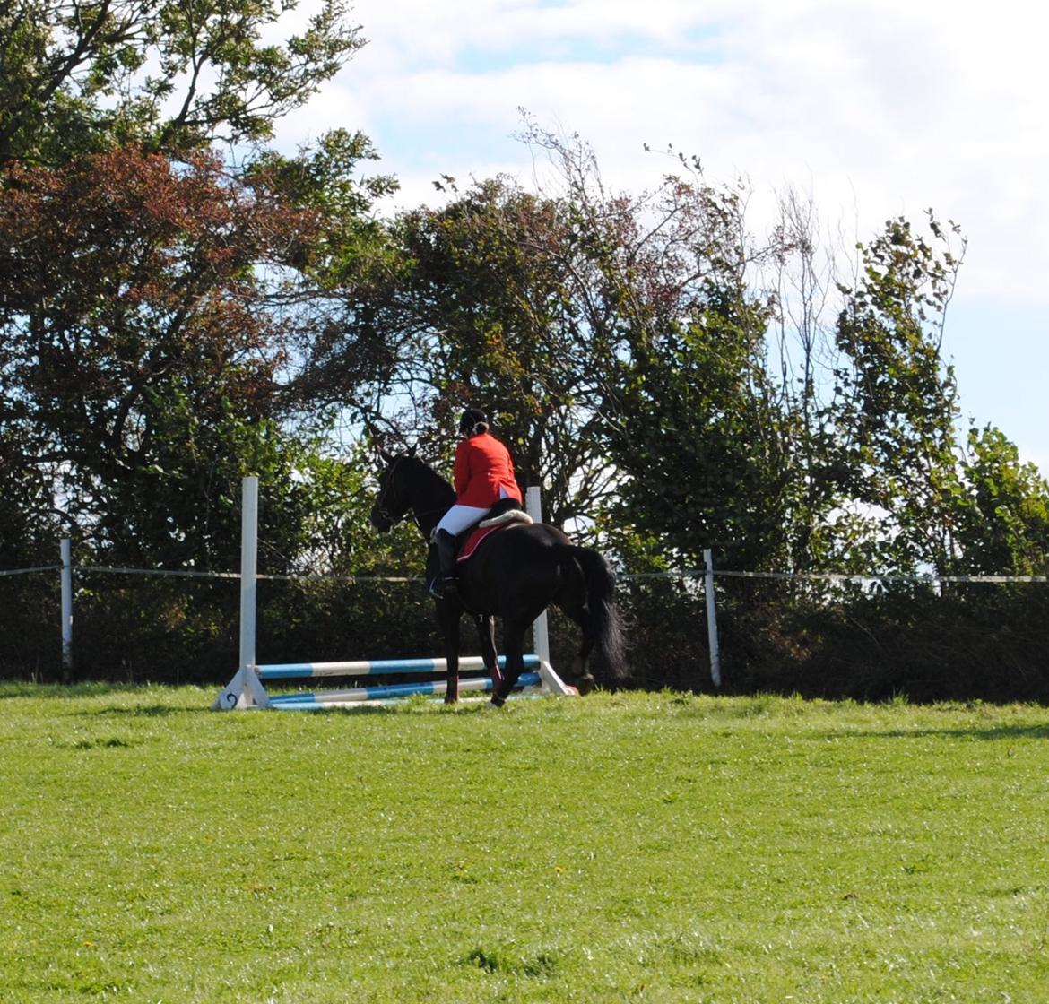 Oldenborg Bødkers Bonzai (rider) billede 14