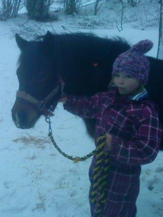 Anden særlig race dixie billede 6