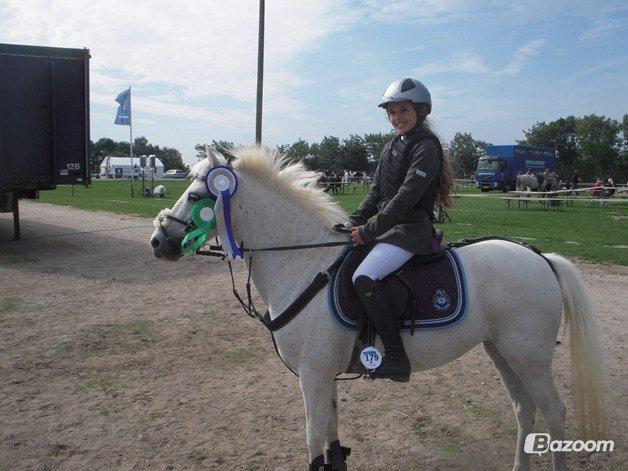 Anden særlig race KOKOS billede 5