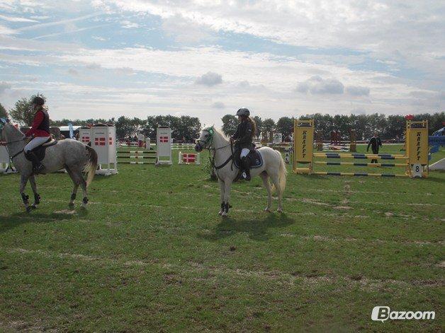 Anden særlig race KOKOS billede 4