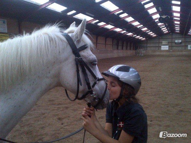 Anden særlig race KOKOS - "Søs" (Aenea) & Kokos <3 billede 3