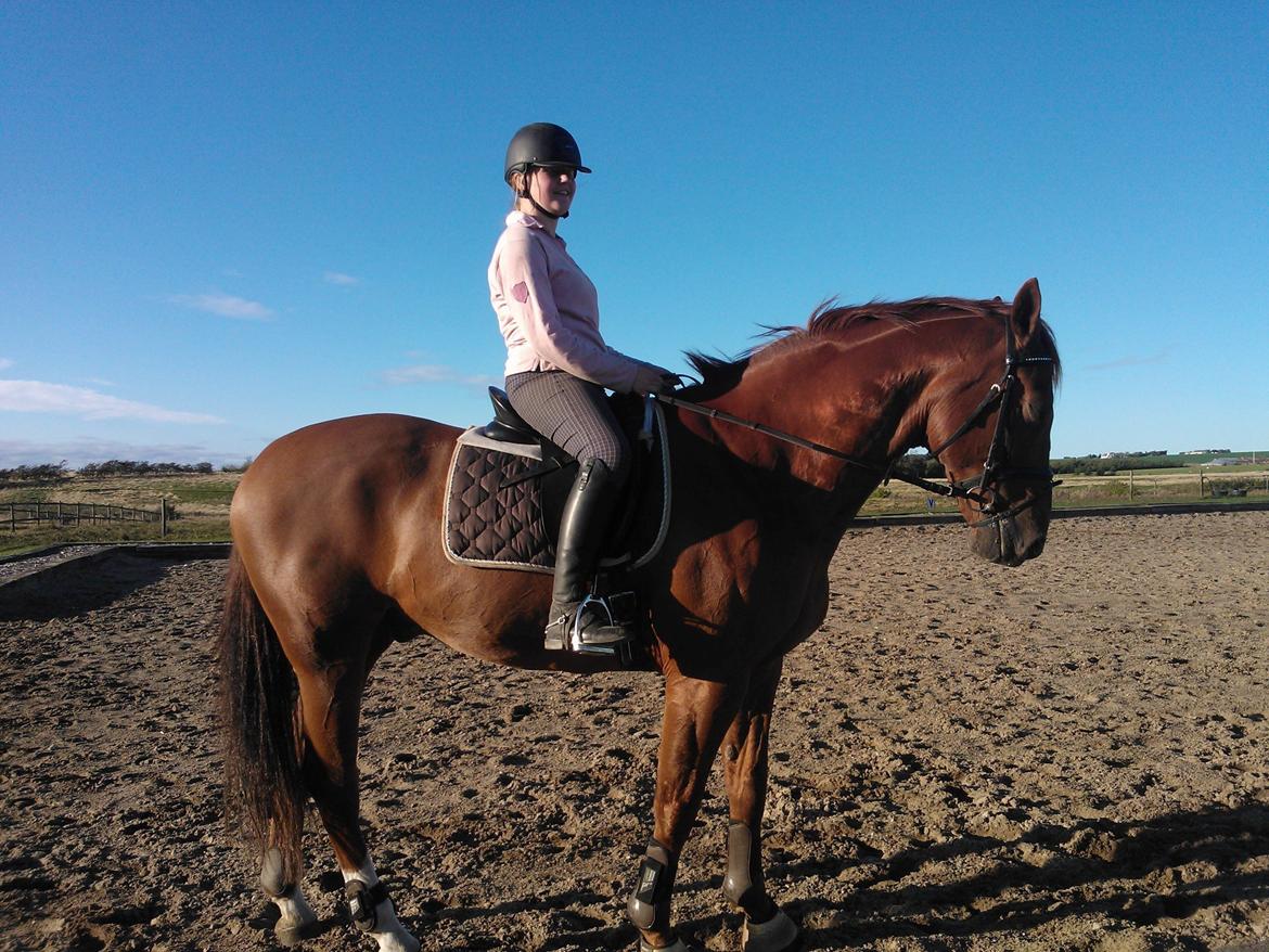 Anden særlig race røde <3 billede 4