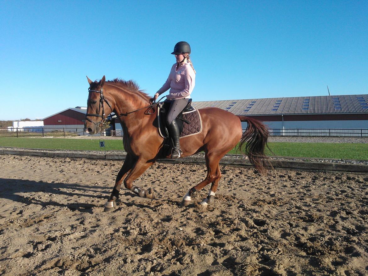 Anden særlig race røde <3 billede 6