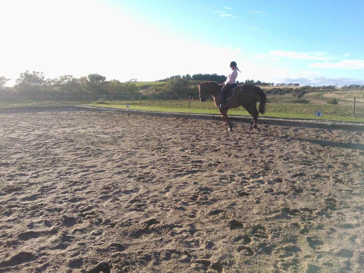 Anden særlig race røde <3 billede 7