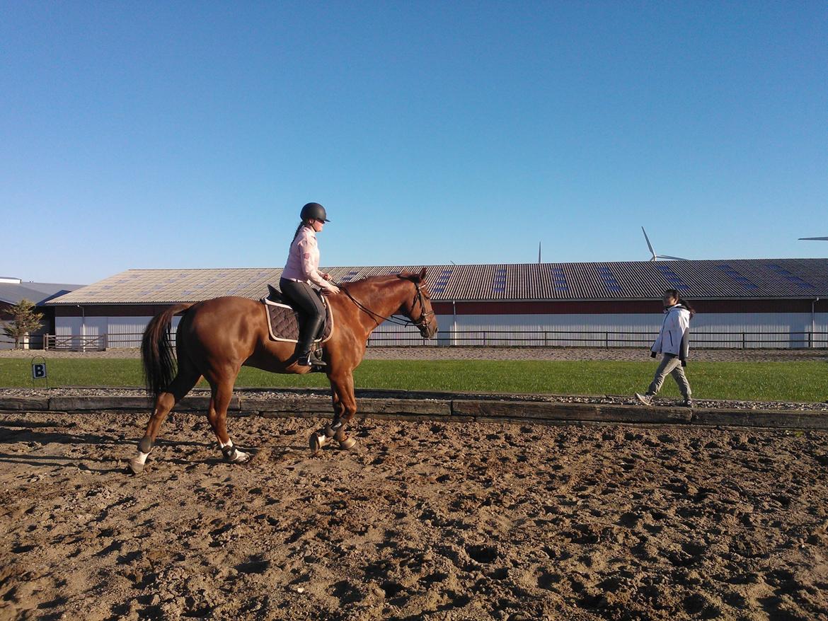 Anden særlig race røde <3 billede 10