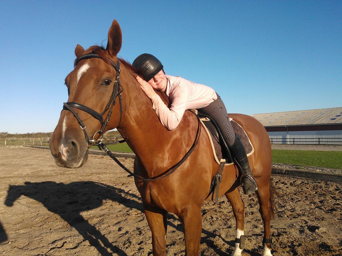 Anden særlig race røde <3 billede 12