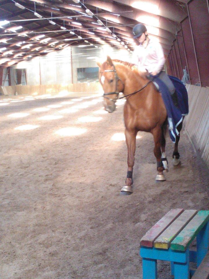 Anden særlig race røde <3 billede 14