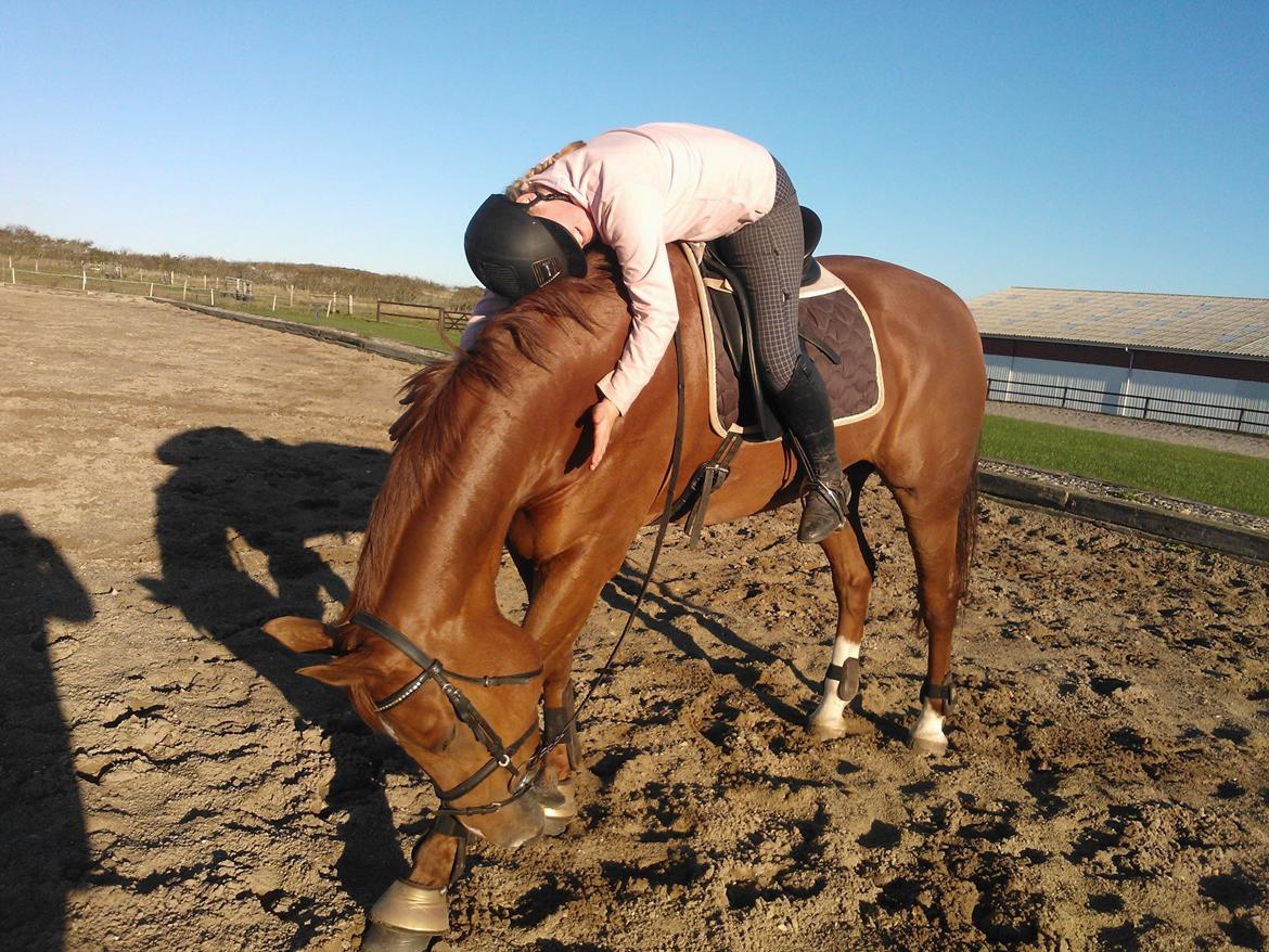 Anden særlig race røde <3 billede 16