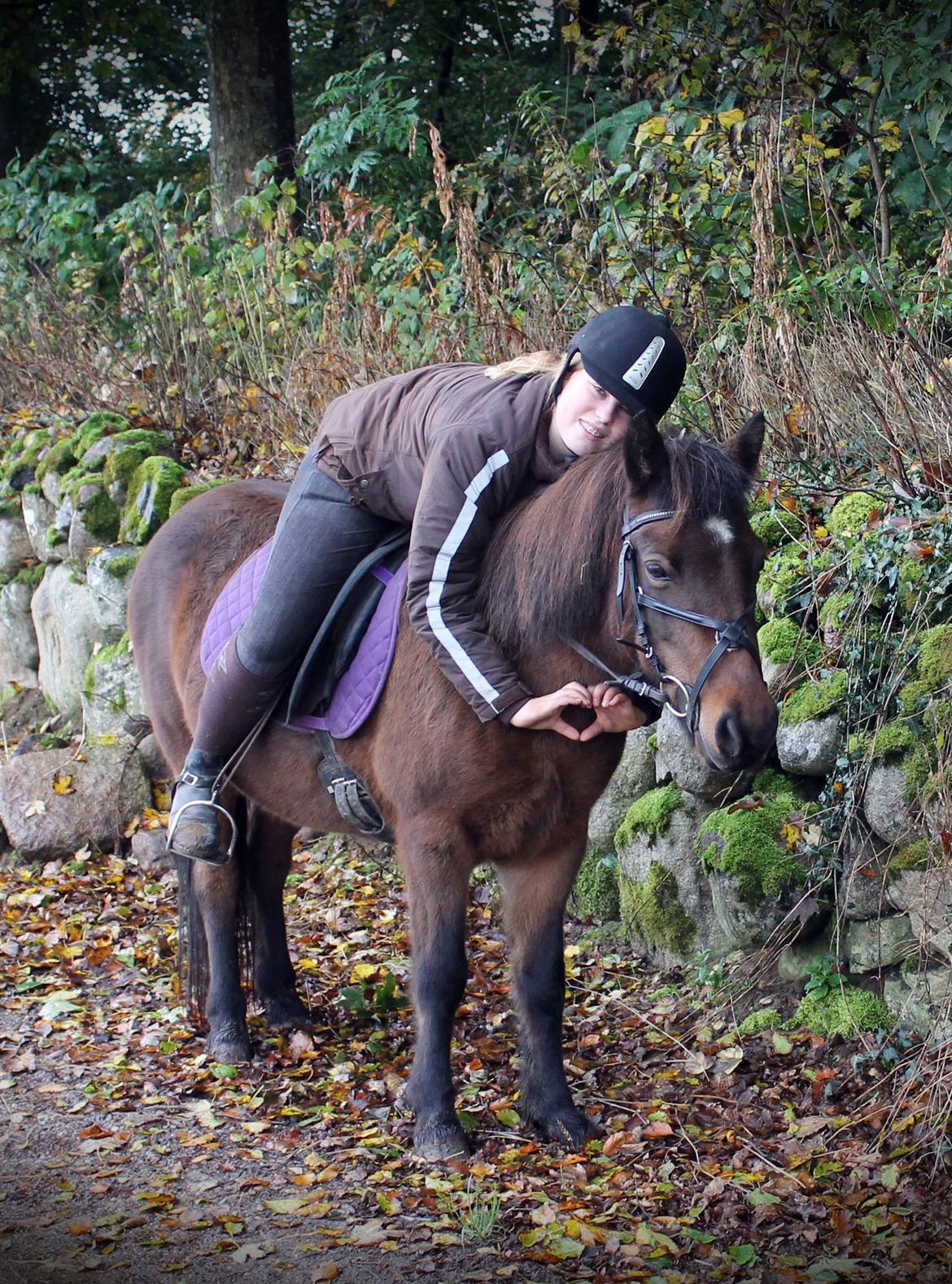 Islænder vigdis fra tågelundgård!:-* - Let me see you put your heart up <3
Foto: Far billede 16