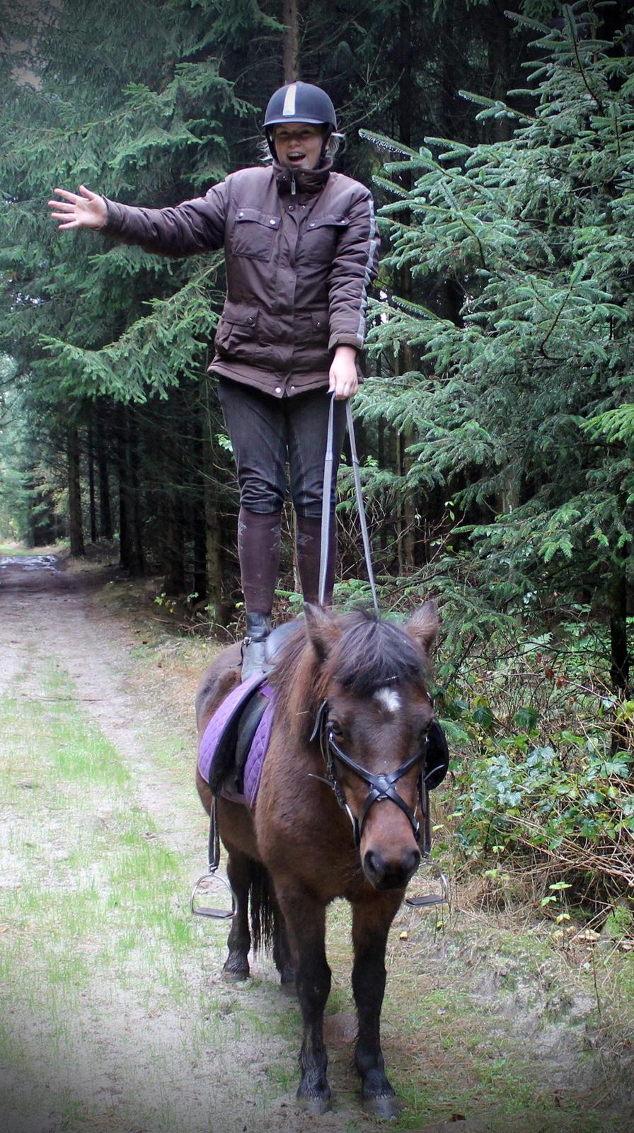 Islænder vigdis fra tågelundgård!:-* - Let's get crazy!!
Foto: Far billede 17