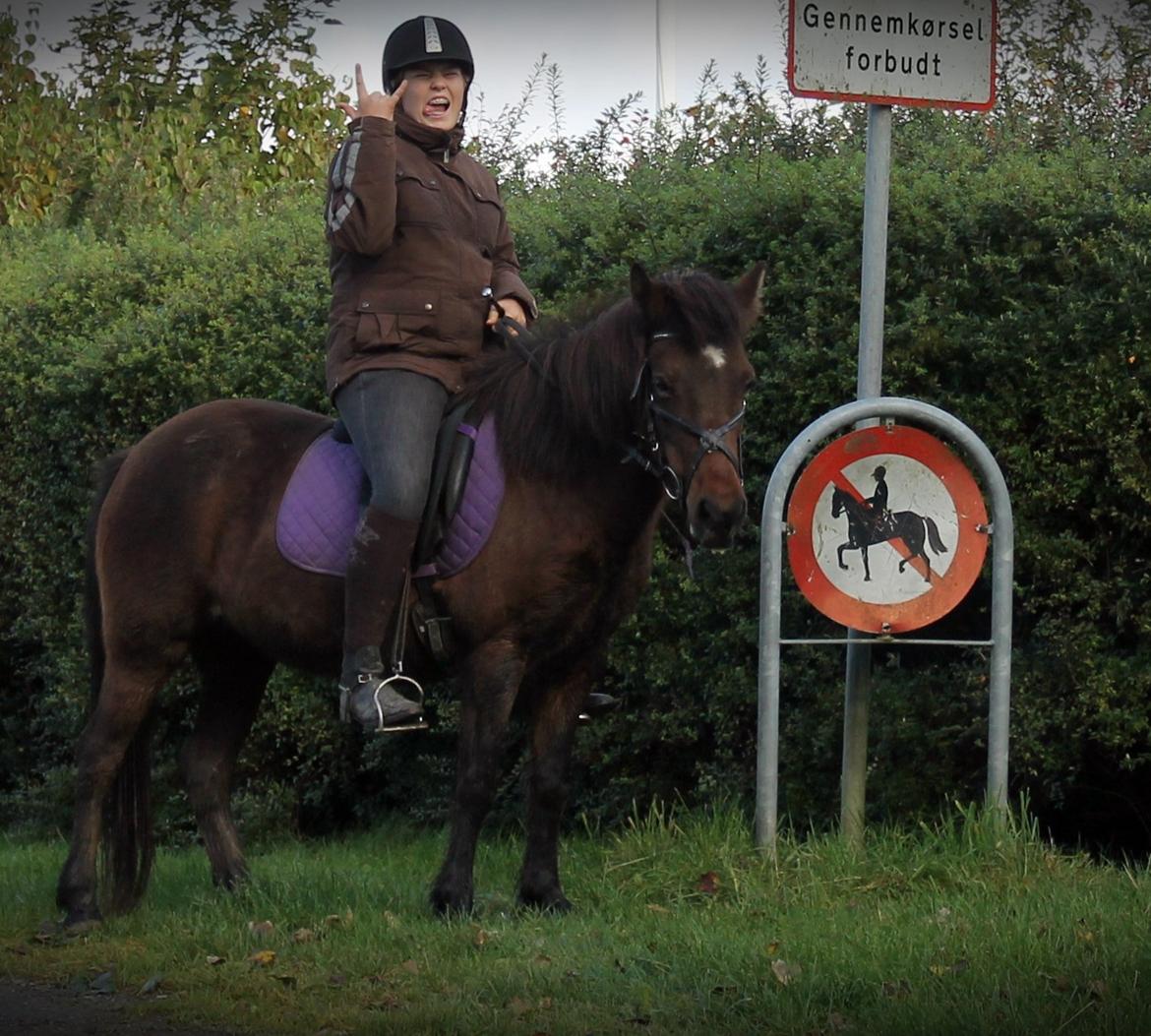 Islænder vigdis fra tågelundgård!:-* - Vi crimer xD
Foto: Far billede 1