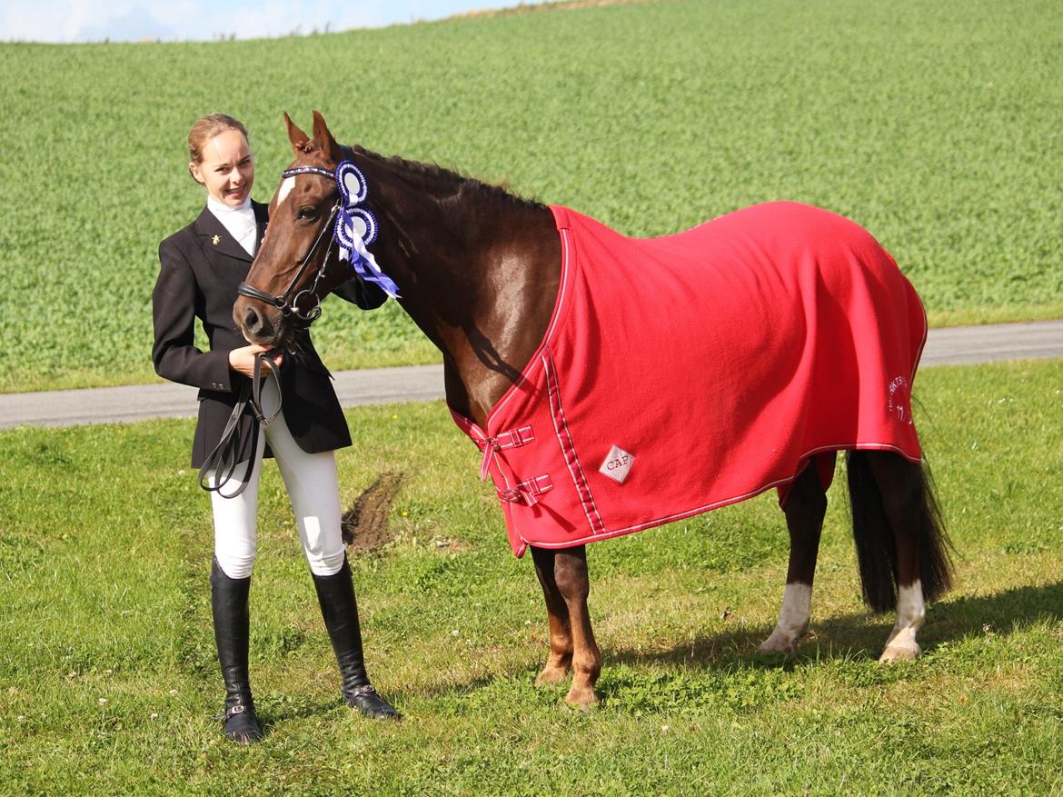 Anden særlig race Ruby B-pony - Ruby vandt 3x 2. pladser den weekende ud af 3 klasser! :-) LA6 og PRI :-) billede 20