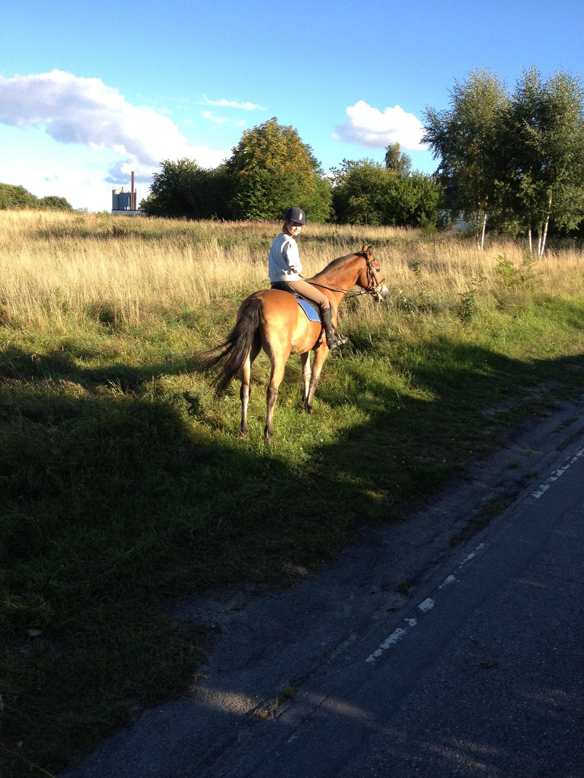 Anden særlig race Lester - Os på tur :) billede 8