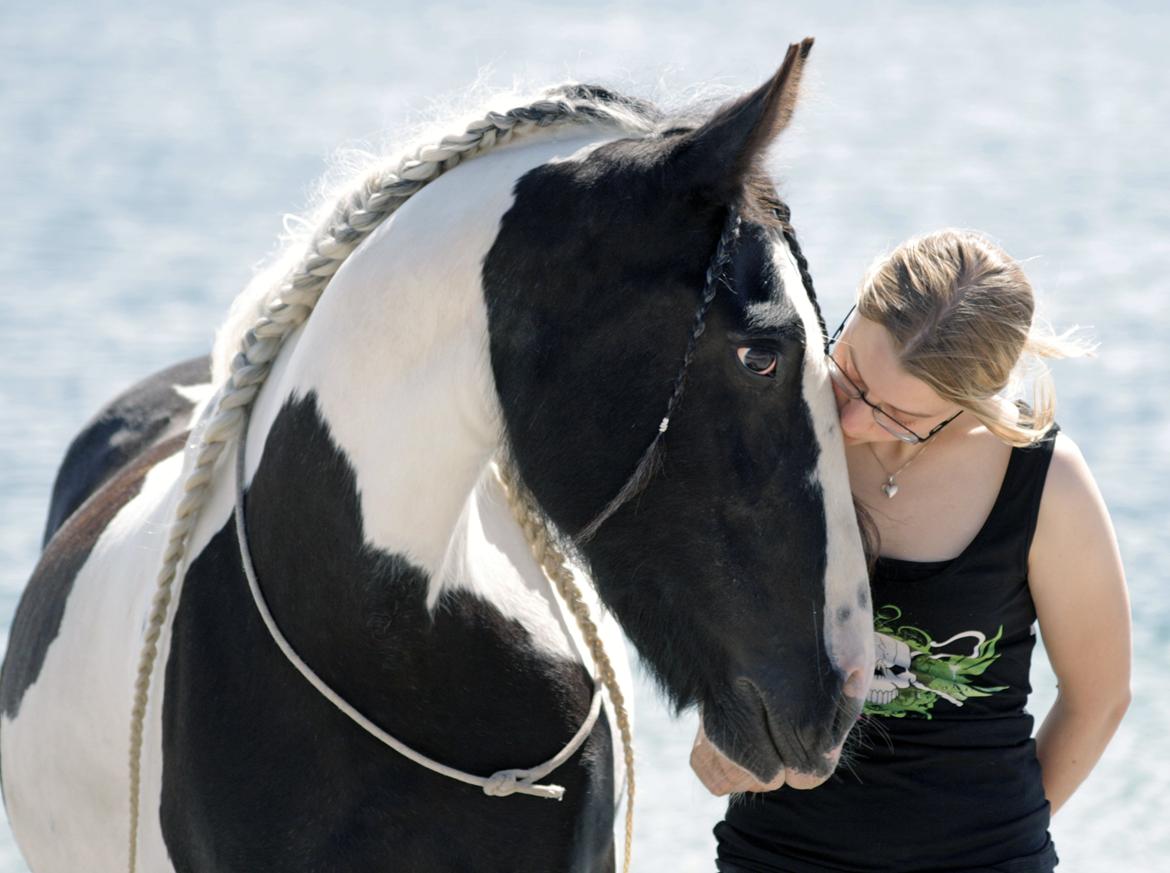 Tinker Coco *Min soulmate* - Paradisgården 2012 - Foto: Lykke billede 2