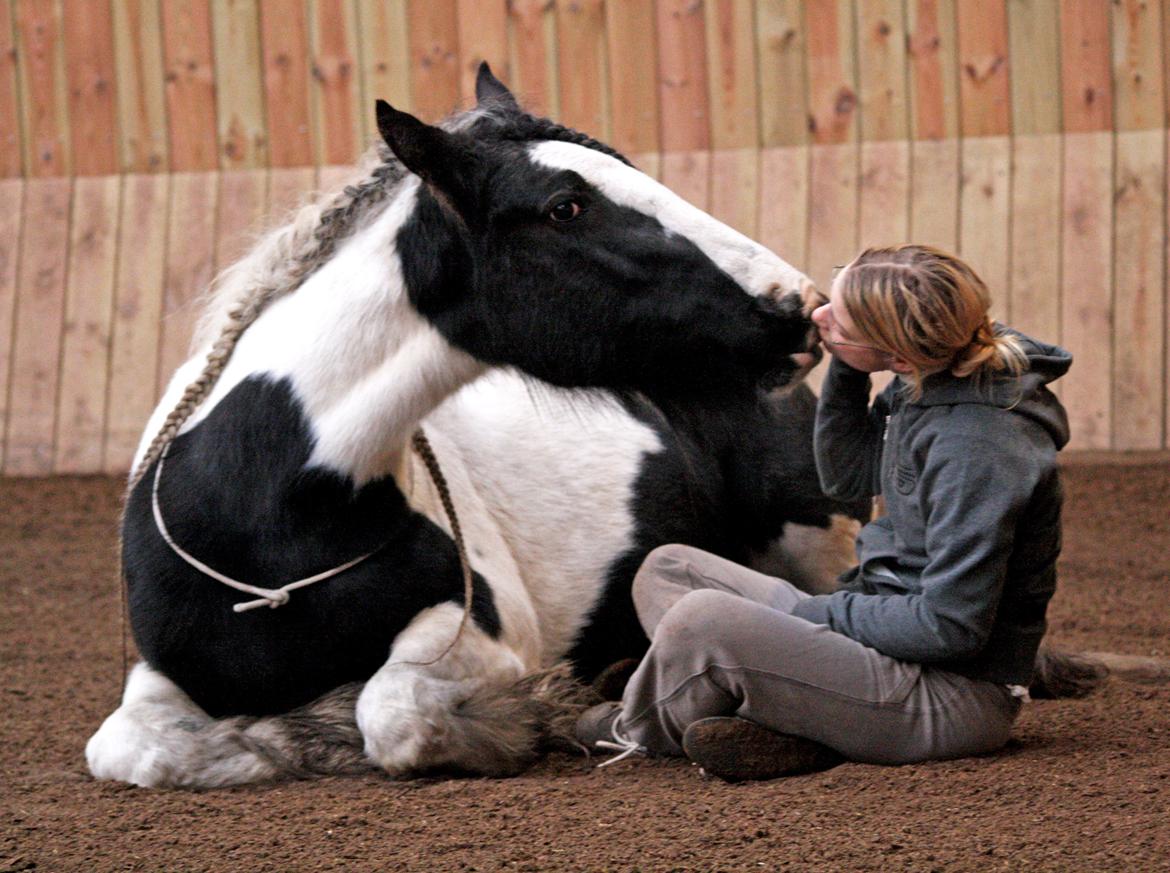 Tinker Coco *Min soulmate* - Træning i ridehuset på HVR, 2011 - Foto: Lykke billede 18