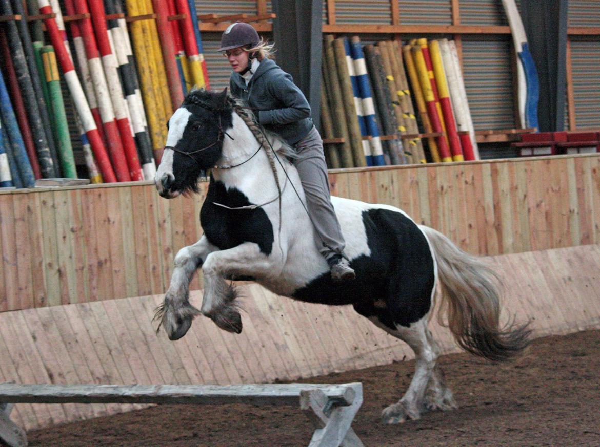 Tinker Coco *Min soulmate* - Træning i ridehuset på HVR, 2011 - Foto: Lykke billede 19