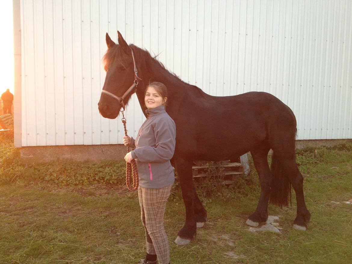 Frieser Karstina billede 2