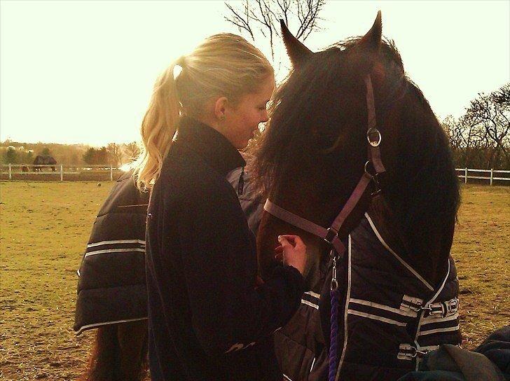 Barockpferd Nynne   [Plejebarn] - Love at first sight <3 billede 5