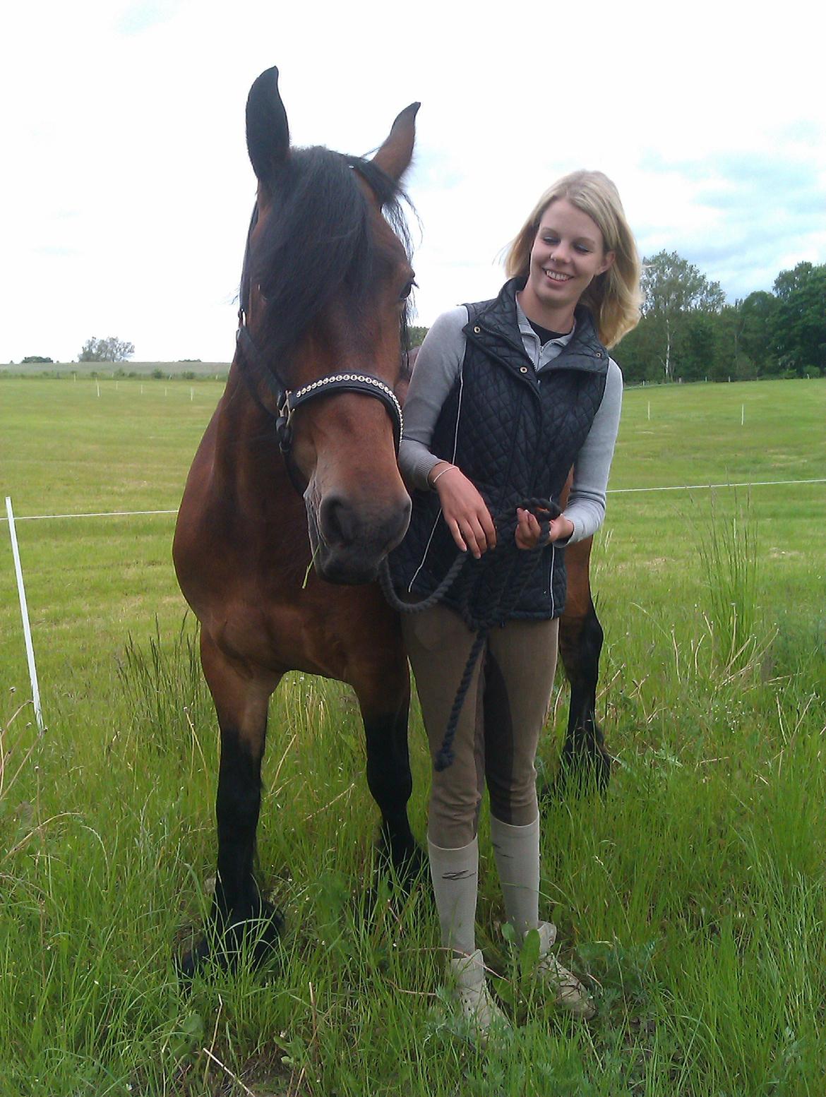 Barockpferd Nynne   [Plejebarn] - Ud i det blå... Smukke Nynne <3 billede 13