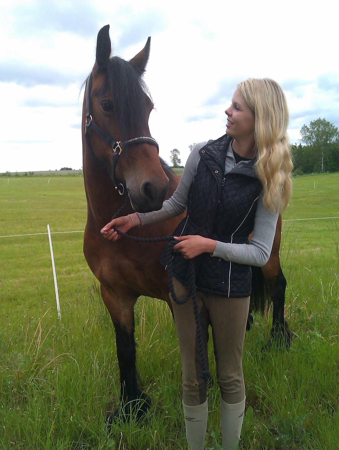 Barockpferd Nynne   [Plejebarn] - Skaaaat <3 billede 14