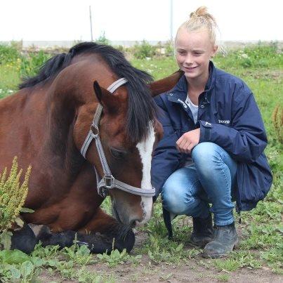 Anden særlig race Maddie - Velkommen til Maddie's profil :-D Læg gerne en kommentar eller en bedømmelse :-D billede 2