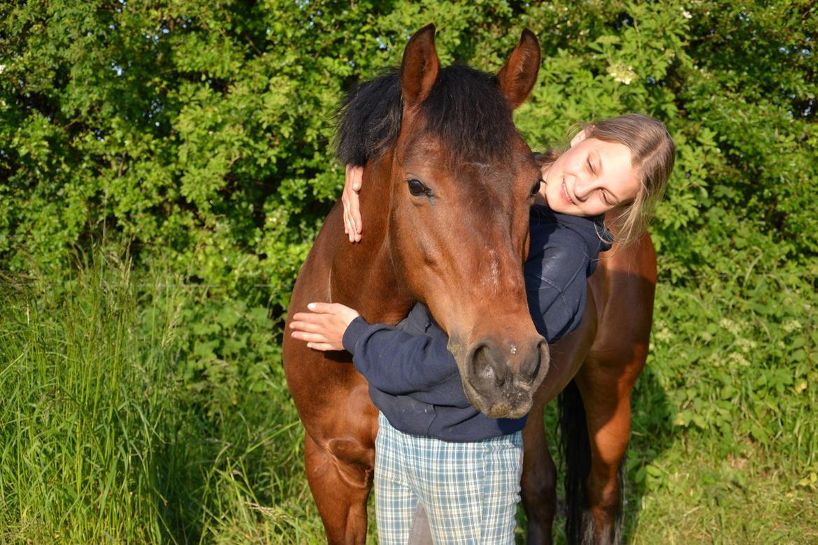 New Forest Alina billede 18