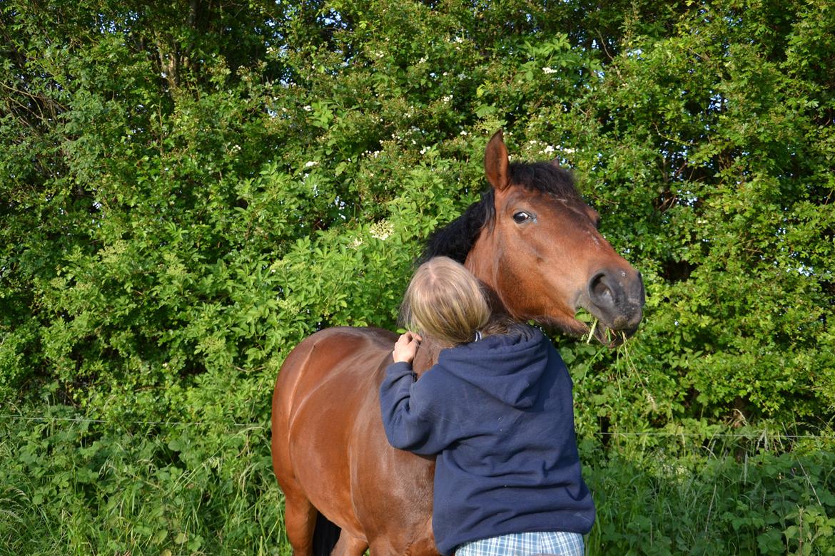 New Forest Alina billede 19