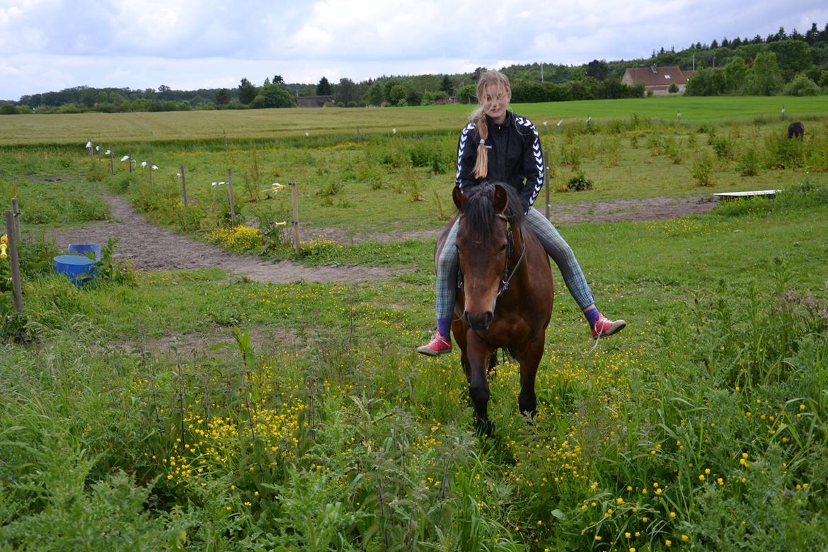 New Forest Alina - velkommen til Alinas profil  billede 1