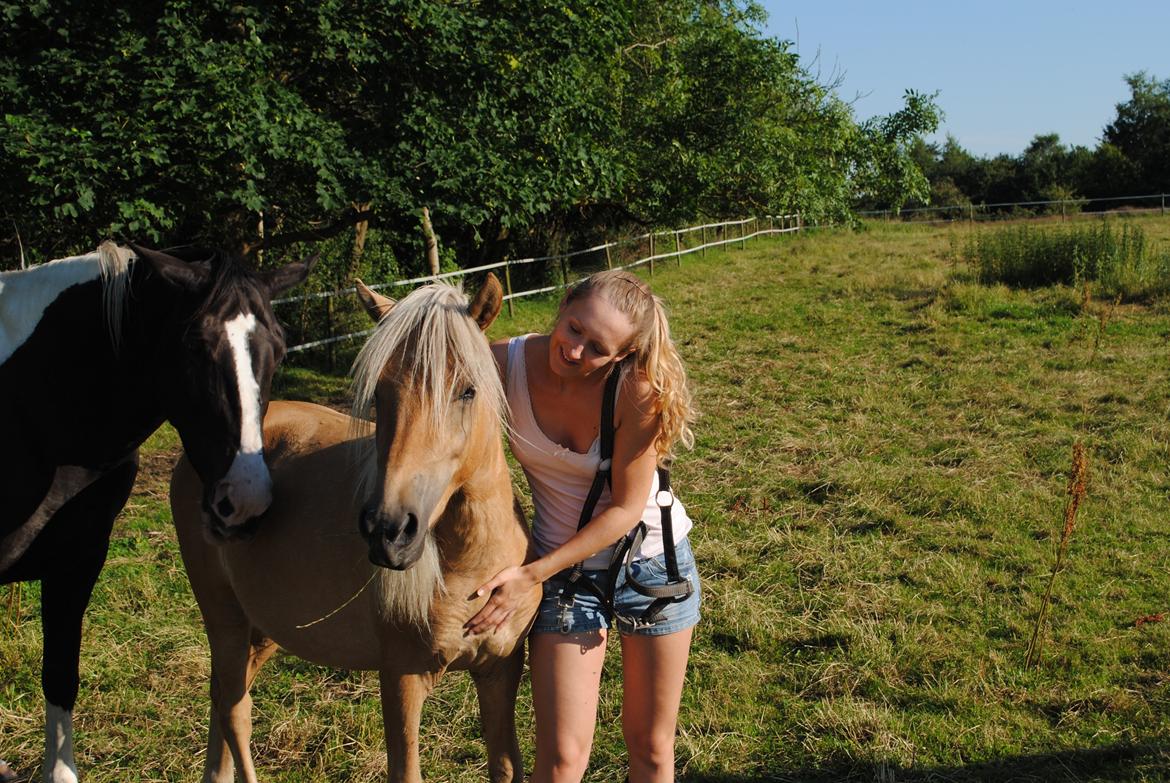 Anden særlig race Sacho billede 8