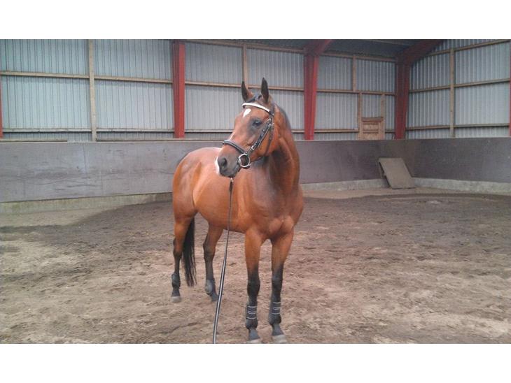 {{currentPhoto.altText}} billede {{currentPhoto.number}}