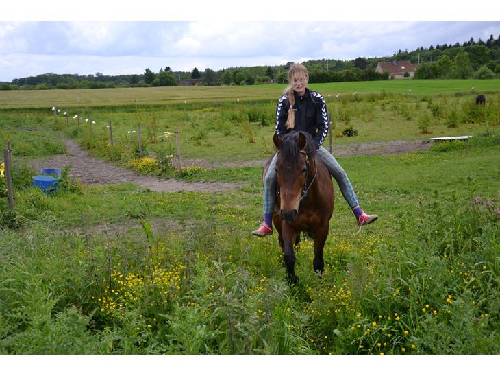 {{currentPhoto.altText}} billede {{currentPhoto.number}}