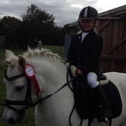 Anden særlig race Flying Snow