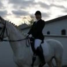 Dansk Varmblod Smirnoff (himmel hest <3)