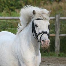 Anden særlig race - Speedo <3