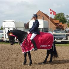 Anden særlig race Bonfire *Solgt*