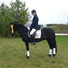 Anden særlig race Bonfire *Solgt*