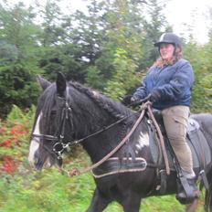 Irish Cob Pam:-*