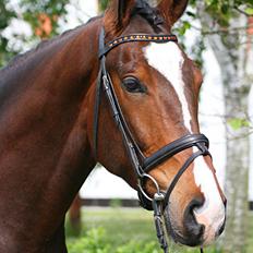 Oldenborg Bugatti Af Dano