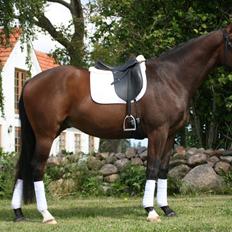 Oldenborg Bugatti Af Dano