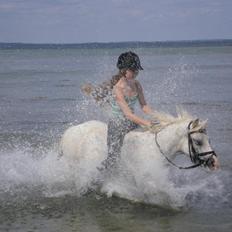 Anden særlig race Bella <3 Hvil i fred  <3
