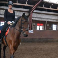 Anden særlig race L`amour (solgt ) 