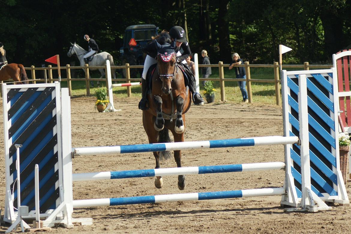 Holstener Pretty woman billede 5