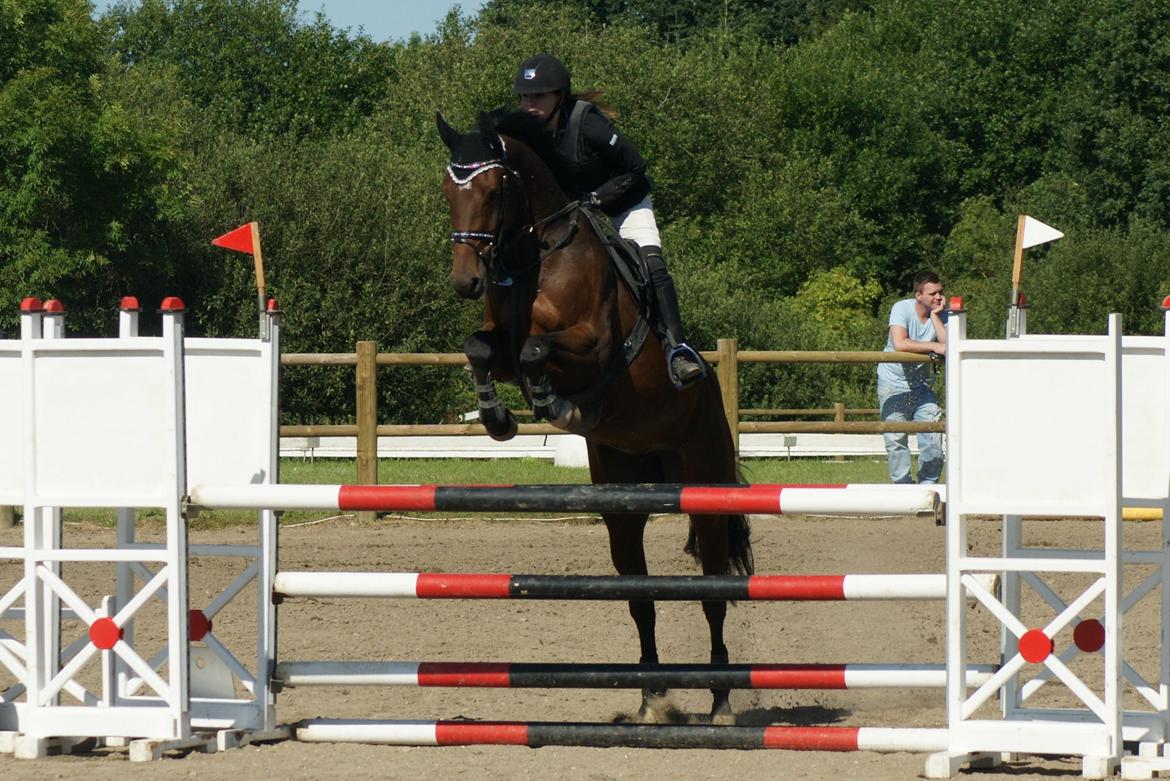 Holstener Pretty woman billede 7