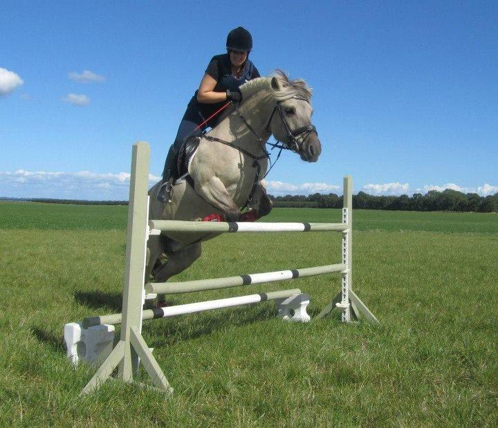 Fjordhest Imke - Super-ponyen springer 1m! billede 1